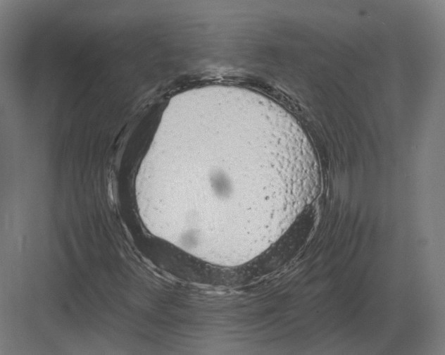 X0000082141348200702162132