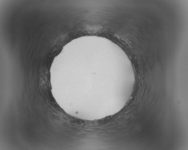 X0000082141349200702162132