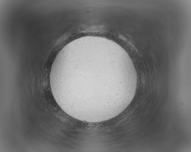 X0000082141350200702162132