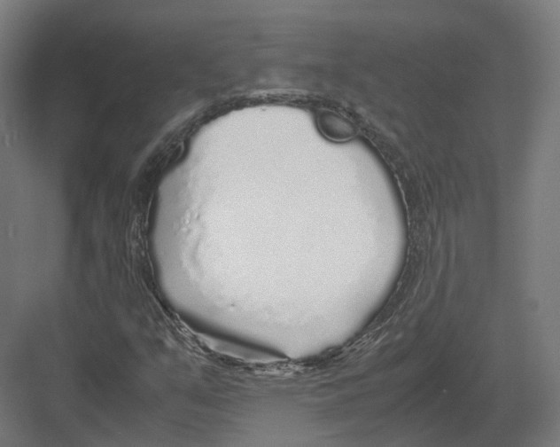 X0000082141351200702162132