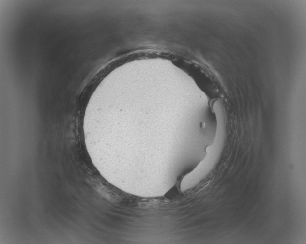 X0000082141352200702162132