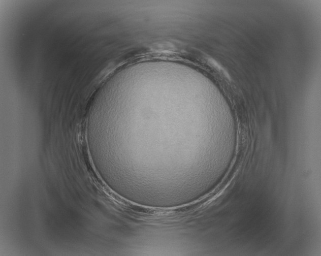 X0000082141353200702162132