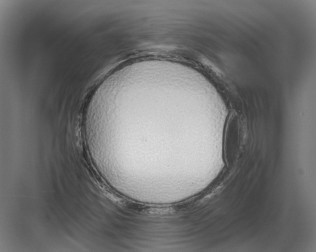 X0000082141354200702162132