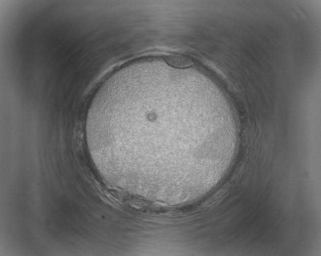 X0000082141355200702162132