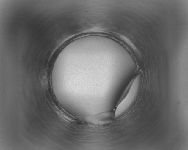 X0000082141356200702162132