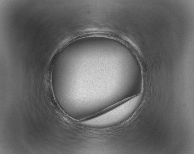 X0000082141357200702162132