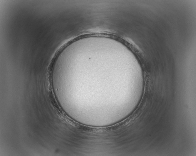 X0000082141358200702162132