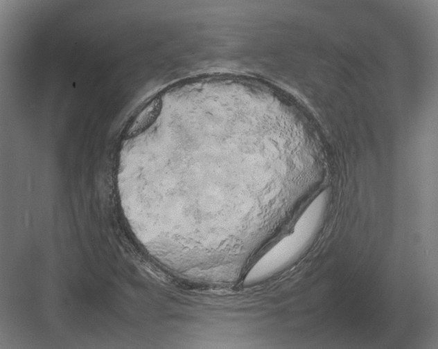 X0000082141359200702162132