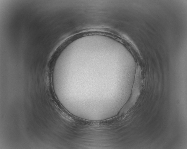 X0000082141360200702162132