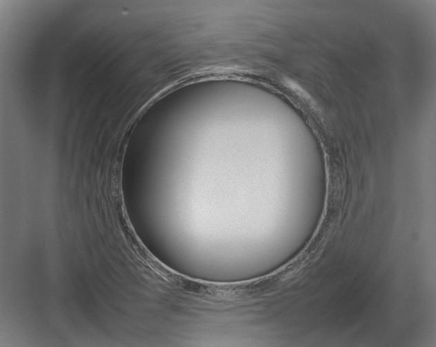 X0000082141361200702162132