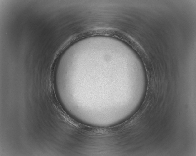 X0000082141362200702162132