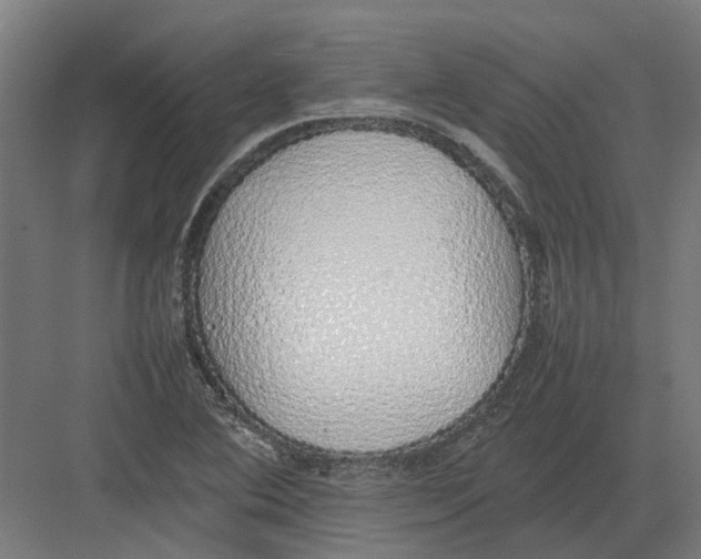 X0000082141364200702162132