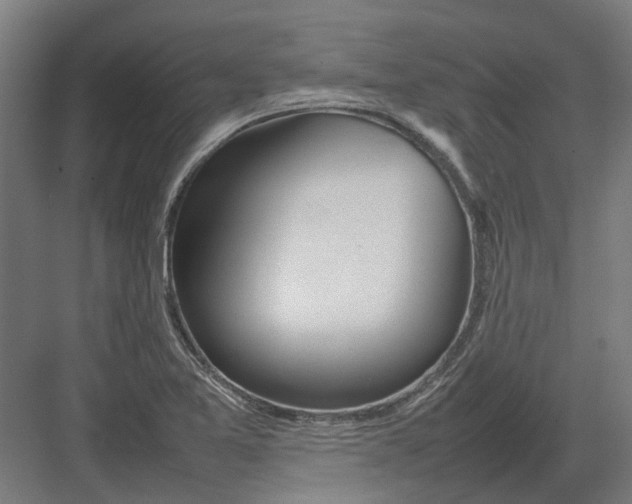 X0000082141365200702162132