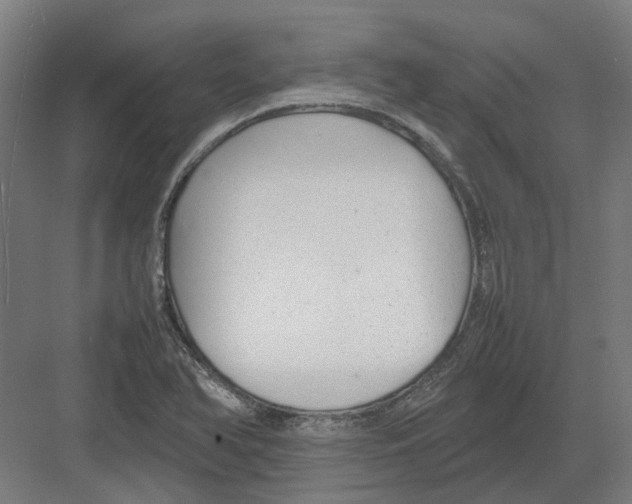 X0000082141366200702162132