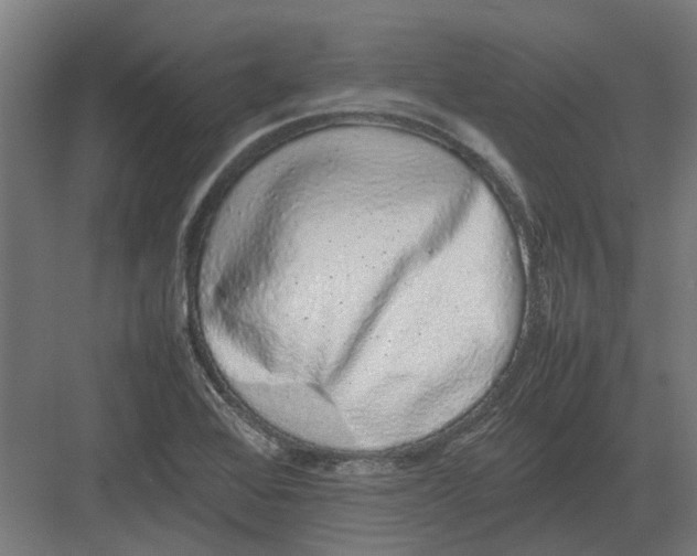 X0000082141368200702162132