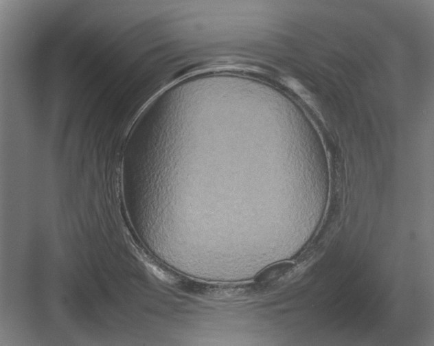 X0000082141369200702162132