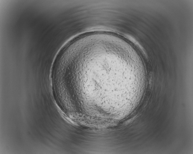 X0000082141372200702162132