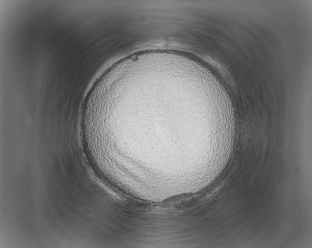 X0000082141374200702162132