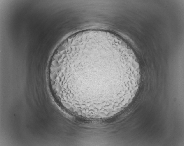 X0000082141375200702162132