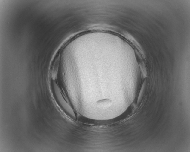 X0000082141376200702162131