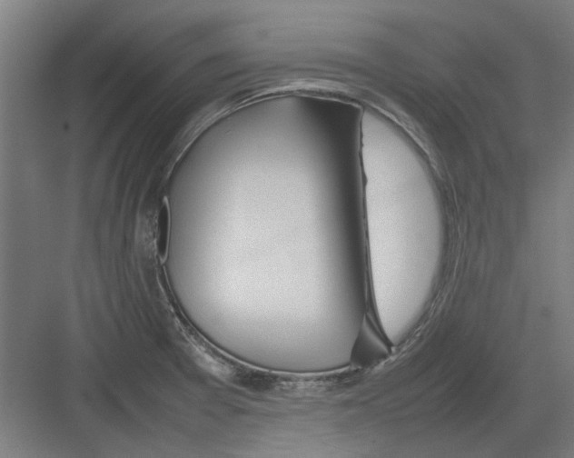 X0000082141377200702162131