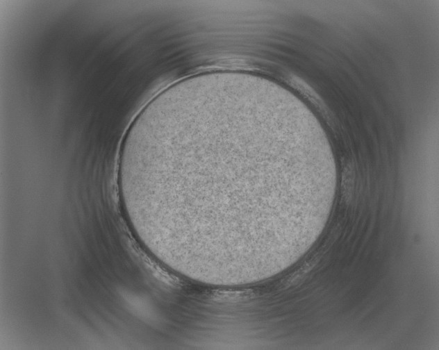 X0000082141378200702162131