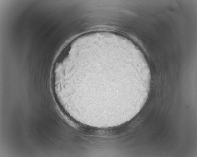 X0000082141379200702162131