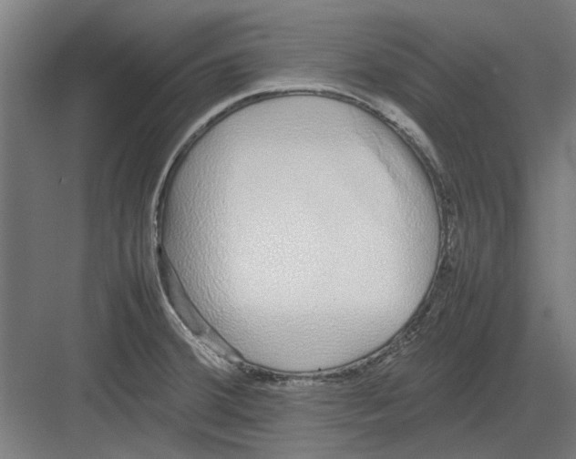 X0000082141380200702162131