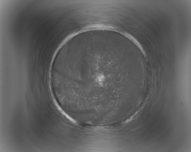 X0000082141381200702162131