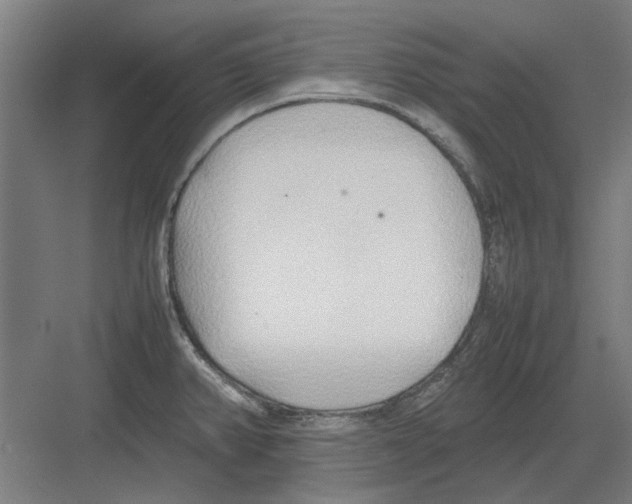 X0000082141382200702162131