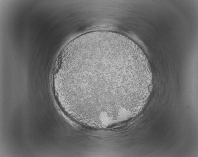 X0000082141383200702162131