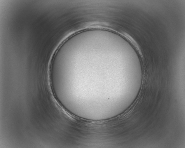 X0000082141384200702162131