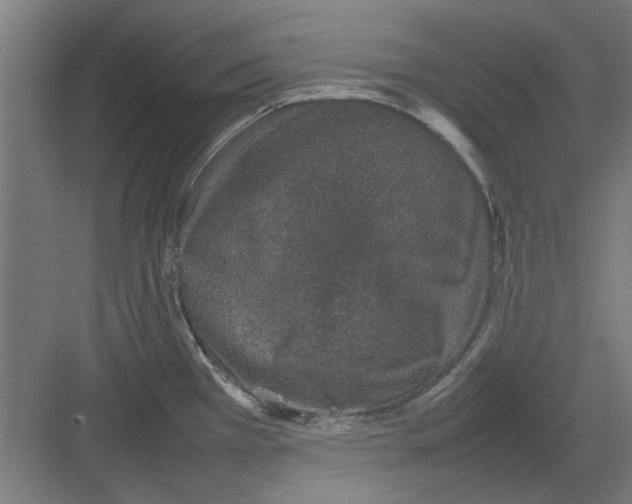 X0000082141385200702162131