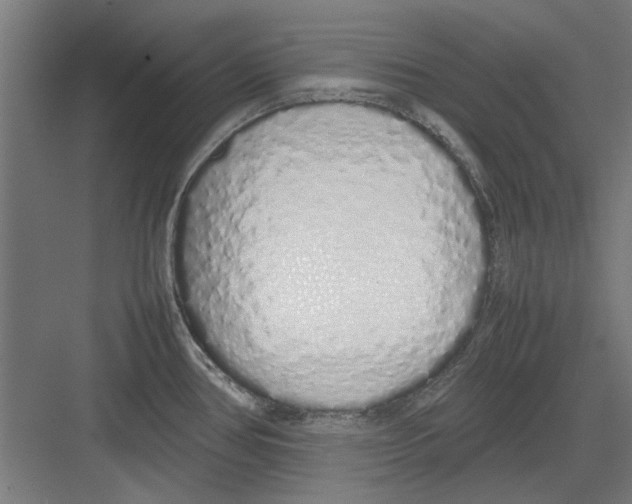 X0000082141386200702162131