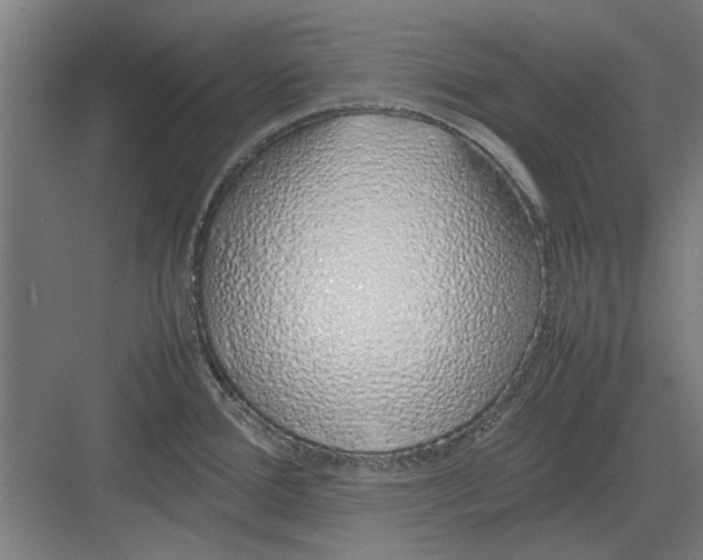 X0000082141388200702162131