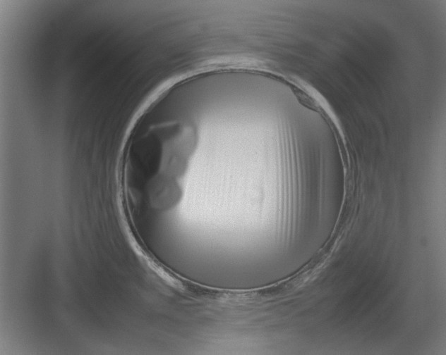 X0000082141389200702162131