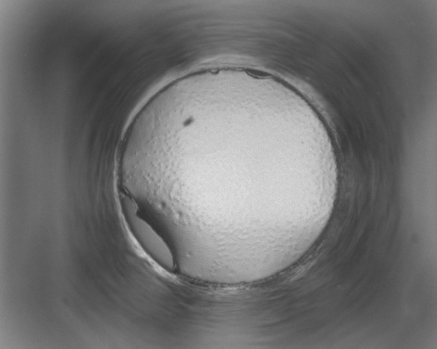 X0000082141390200702162131