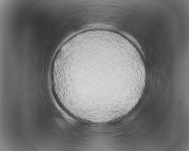 X0000082141391200702162131