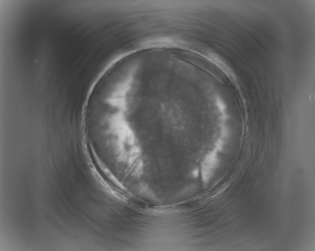 X0000082141392200702162131