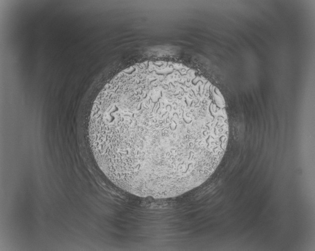 X0000082141393200702162130