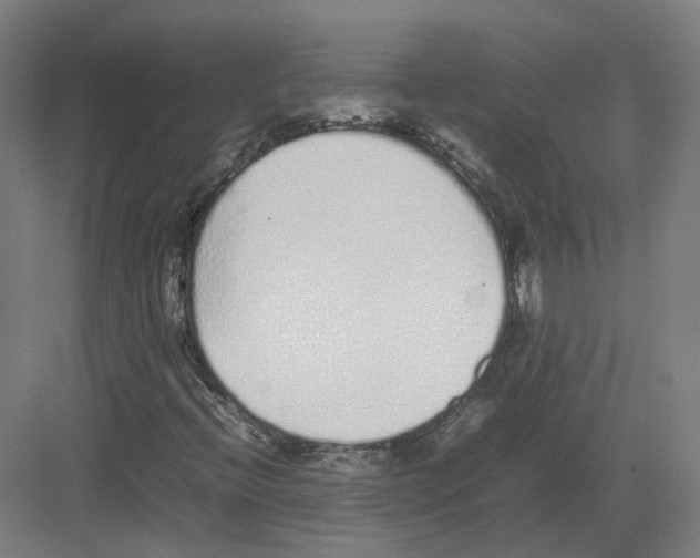 X0000082141396200702162130