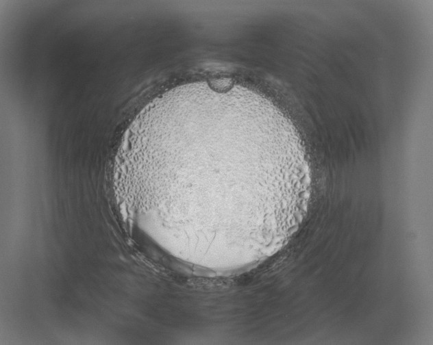 X0000082141397200702162130