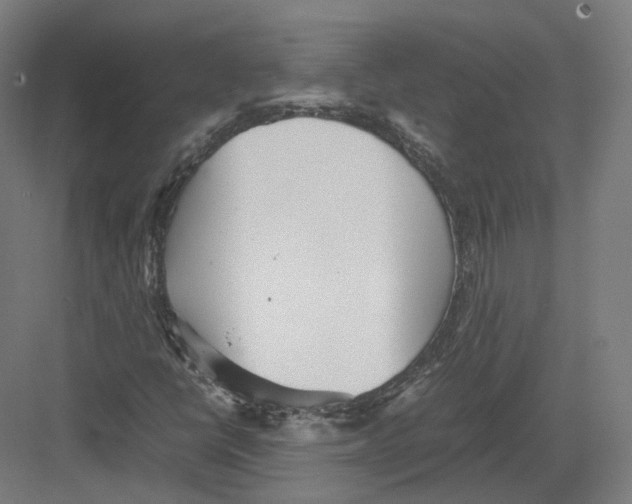 X0000082141398200702162131