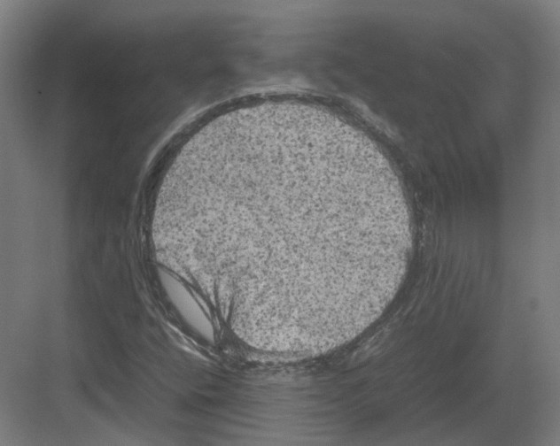 X0000082141400200702162131