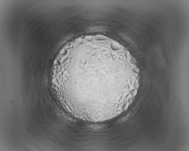 X0000082141401200702162131