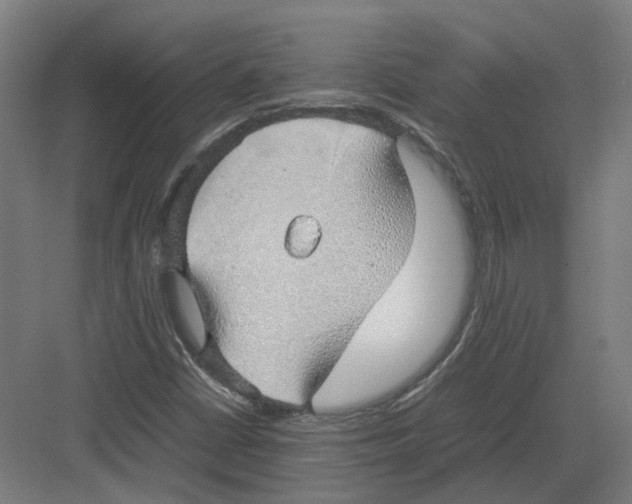 X0000082141402200702162131