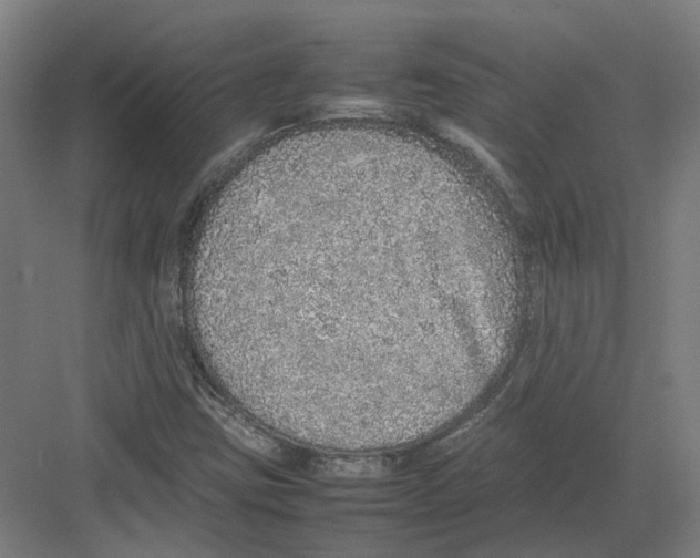 X0000082141403200702162131