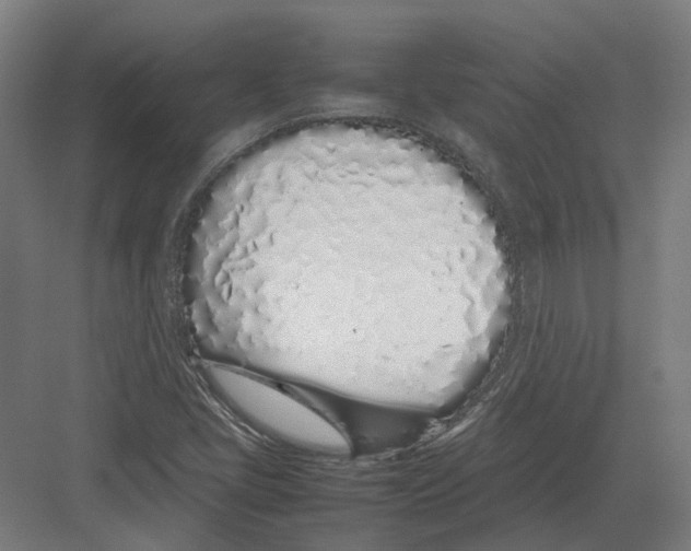 X0000082141405200702162131