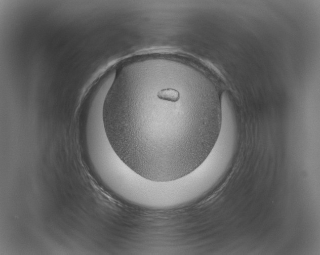 X0000082141406200702162131