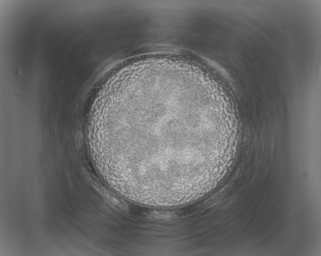 X0000082141407200702162131